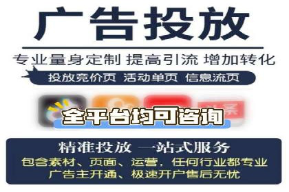 SEO与百度推广结合的营销策略——经典案例解析